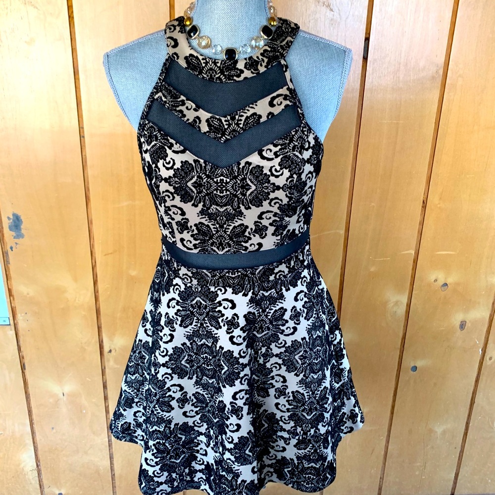 Windsor velvet sheer Dress